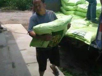 專業(yè)人工搬運服務(wù) 安全高效，全面保障